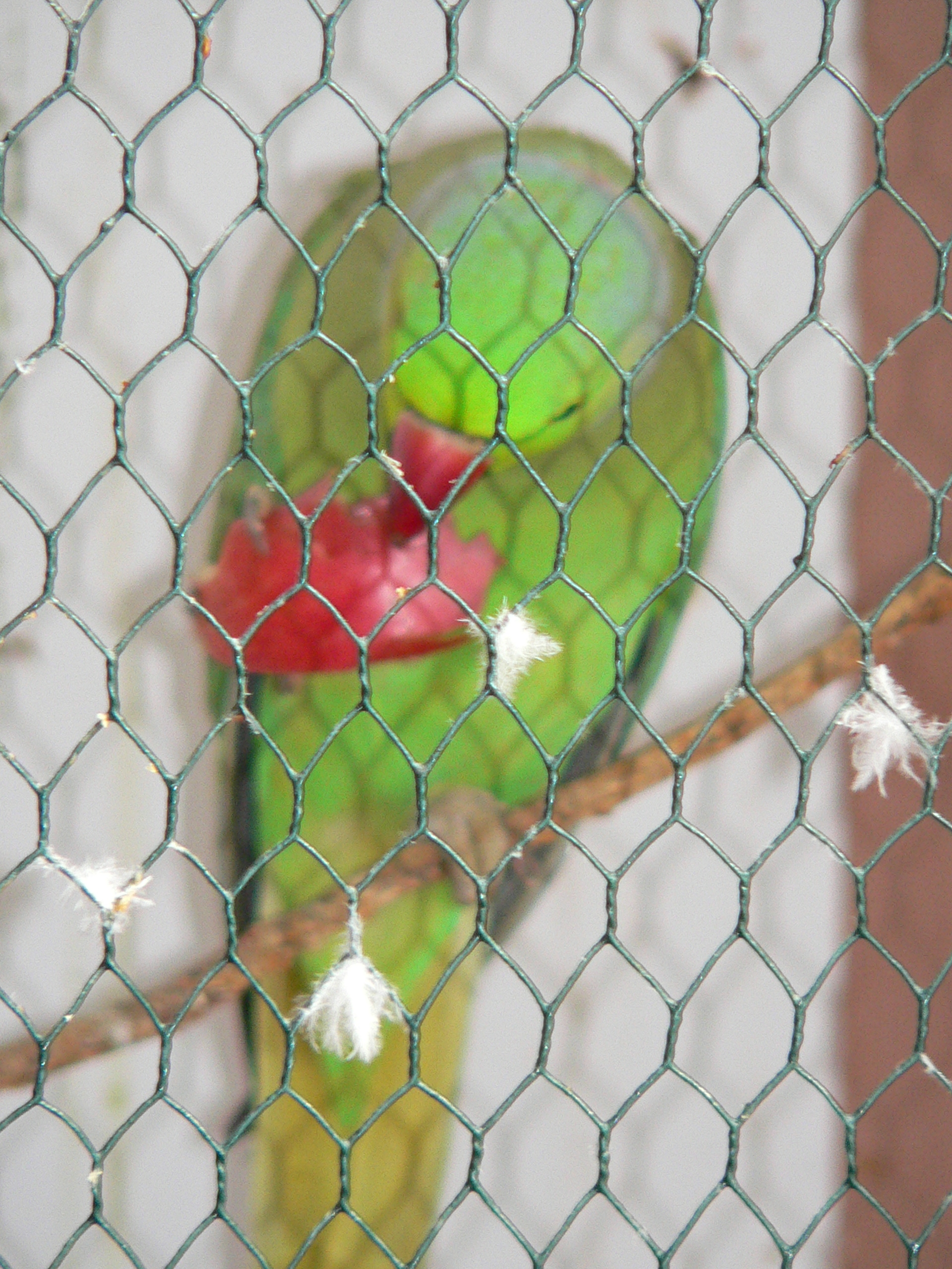 P1070478.JPG