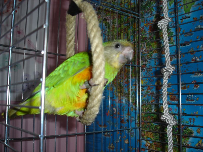 DSC03165.jpg